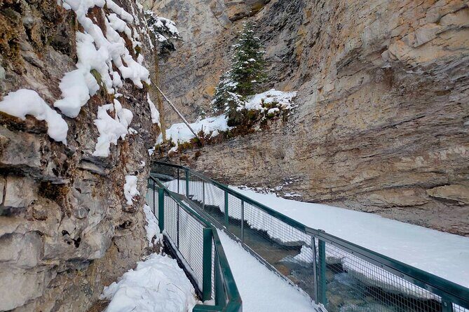 Peyto Lake Lake Louise Johnston Canyon Bow Lake from Calgary - Frequently Asked Questions  