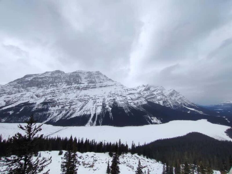 Peyto Lake Lake Louise Johnston Canyon Calgary/Canmore/Banff - What to Expect & Practical Tips