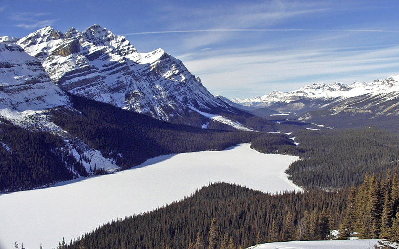 Peyto Lake, Moraine Lake, Lake Louise and Crowfoot Glacier Tour - A day built around Banff’s famous blue lakes
