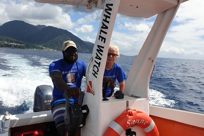 PH Whale Watch & Dolphin Cruise in Dominica - Additional Info