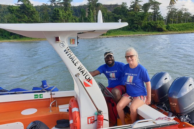 PH Whale Watch & Dolphin Cruise in Dominica - Common Questions