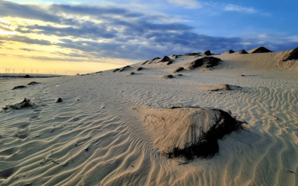 Phan Thiet, Forgotten Culture - Vienam Most Beautiful Beach - Day 3: Early Morning Fishing