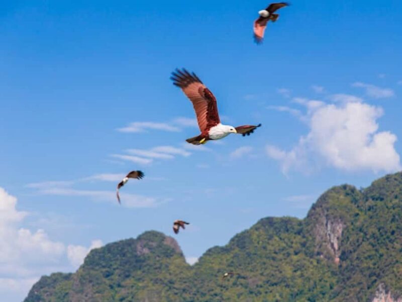 Phang Nga Bay and James Bond Island Boat Tour - Good To Know