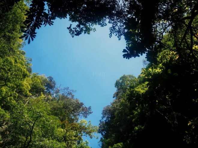 Phang Nga Bay Day Tour & Canoeing by Big Boat (Not Crowded) - Included Amenities