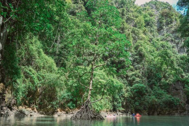 Phang Nga Bay Day Tour & Canoeing by Big Boat (Not Crowded) - Health and Safety Restrictions