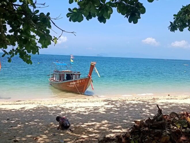 Phang Nga Bay Day Trip Private or Small Group - Full Description of the Tour
