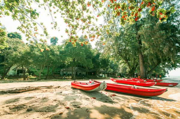 Phang Nga Bay: Full-Day Kayaking Tour by Boat From Phuket - Customer Reviews