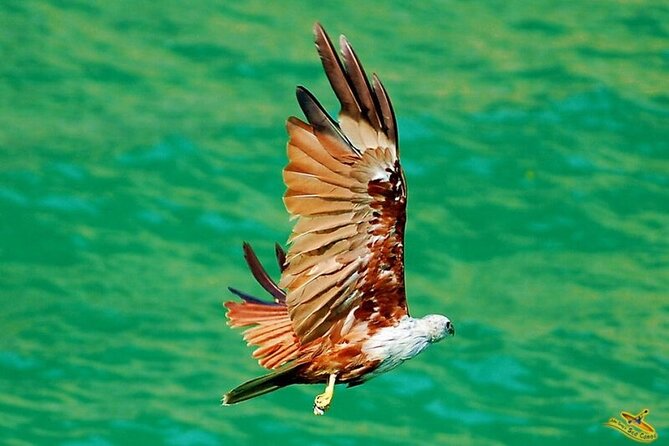 Phang Nga Bay Instagram Tour With Caves Explore & Kayak - Instagram-Worthy Spots