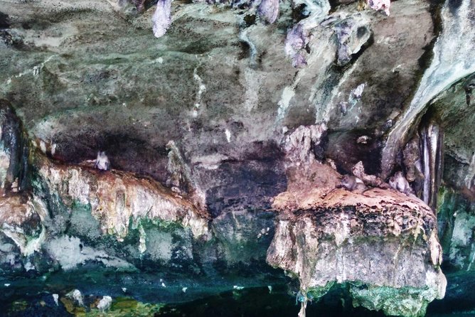 Phang Nga Bay Sea Canoeing Trip - Common Questions