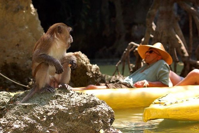 Phang Nga Bay Starlight by John Gray Sea Canoe - Reviews