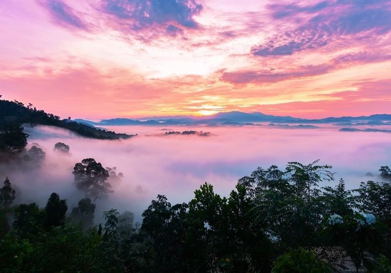 Phang Nga Khao Khai Nui Sunrise Private Sightseeing Tour - The Early Start Leads to a Mountain Morning