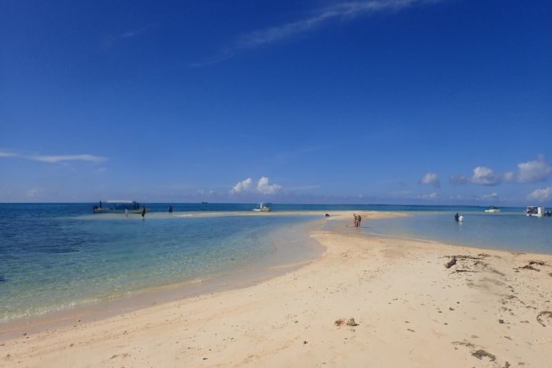Phantom Island Landing & Snorkeling Half-Day Course - Make life jackets your first question