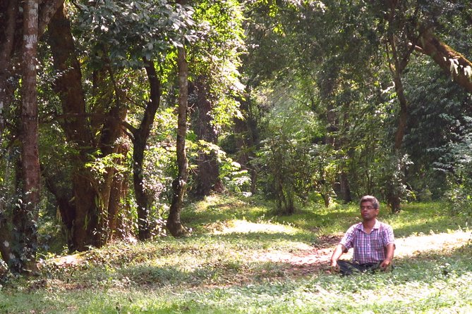 Pharping Asura Cave Meditation Tour - Historical Significance of Asura Cave