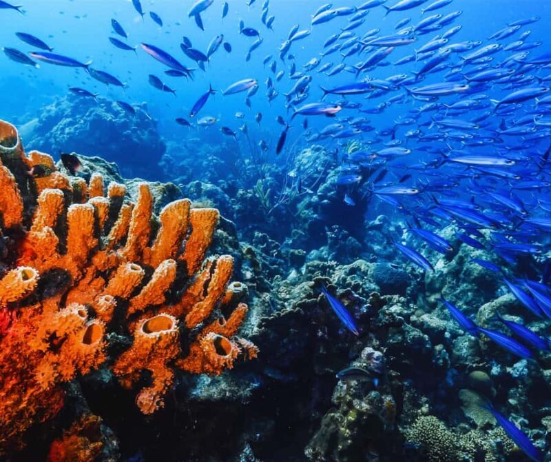 Phi Phi & 4 Islands sunset tour plus bioluminescent plankton - An In-Depth Look at the Phi Phi & 4 Islands Sunset Tour