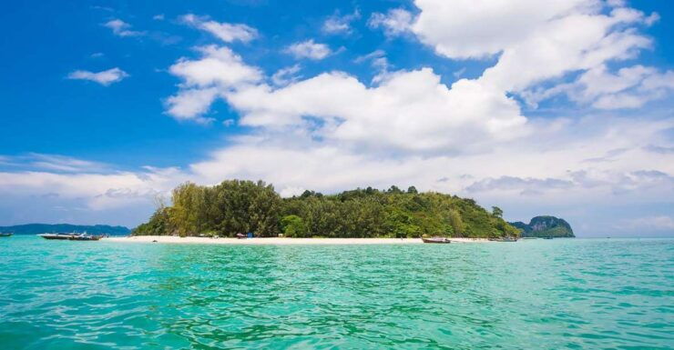 Phi Phi: 6Hrs Bamboo & Phi Phi Tour By Private Longtail Boat - Experience Highlights and Itinerary