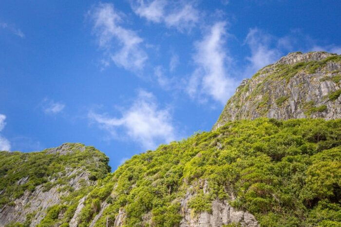 Phi Phi: 7 Island Day Tour by Longtail Boat - Customer Reviews Summary