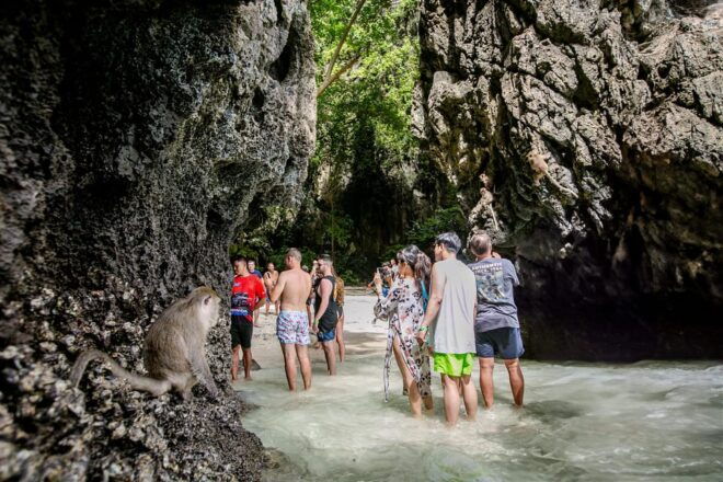 Phi Phi: 7 Island Tour by Longtail Boat - Important Information