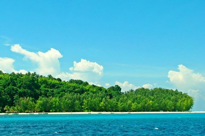 Phi Phi & Bamboo Islands Full-Day Tour by Speedboat From Phuket - Reviews