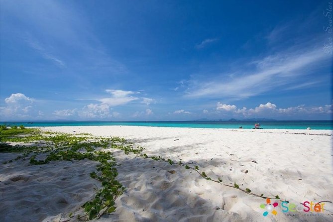 Phi Phi & Bamboo Islands Full-Day Tour by Speedboat From Phuket - Itinerary