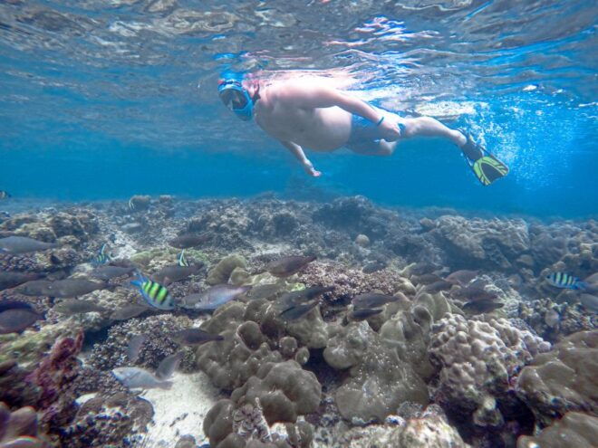 Phi Phi & Bamboo Islands: Premium Day Trip W/ Seaview Lunch - Review Summary