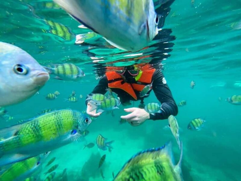 Phi Phi Don: Cove Collector's Private Half-Day Island Escape - Final Thoughts