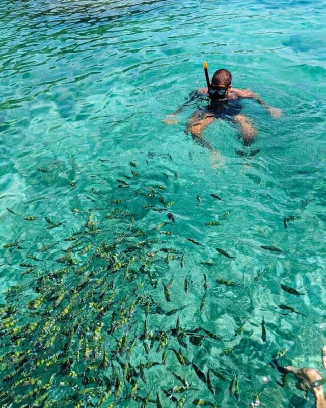 Phi Phi Don: Sunset and Plankton Snorkeling by Speedboat - FAQ: Your Questions Answered