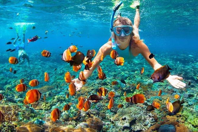 Phi Phi Full Day by Speed and Cruise Boat All Inclusive - Customer Support and Contact Information