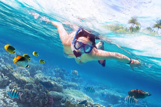 Phi Phi Full Day by Speed and Cruise Boat All Inclusive - Common Questions