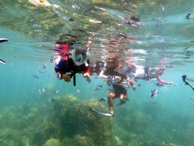 Phi Phi: Half-Day Phi Phi Snorkeling Trip by Longtail Boat - Experience the Andaman Sea