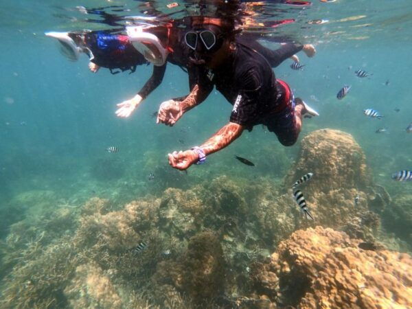 Phi Phi: Half-Day Phi Phi Snorkeling Trip by Longtail Boat - Common Questions