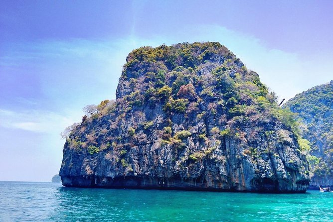 Phi Phi Half Day Tour by Speed Boat - Tour Highlights