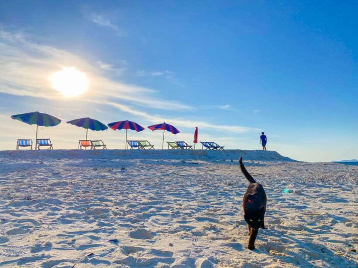 Phi Phi Highlight: Full-Day Island by Speedboat or Catamaran - Relaxing at the Khai Islands