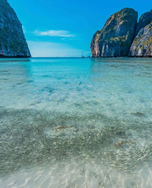Phi Phi Island Bliss: A Tropical Adventure" - Tour Itinerary Highlights