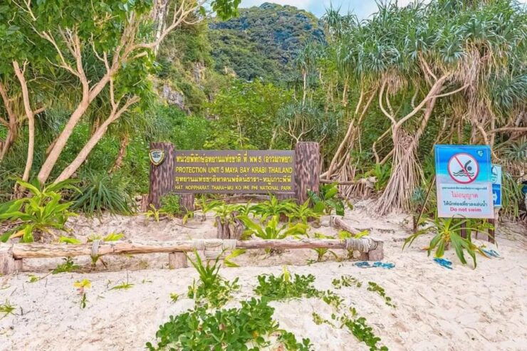Phi Phi Island Bliss: A Tropical Adventure" - Snorkeling and Swimming Spots