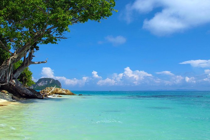 Phi Phi Island by Premium Speedboat Including Buffet Lunch & National Park Fees - What To Expect