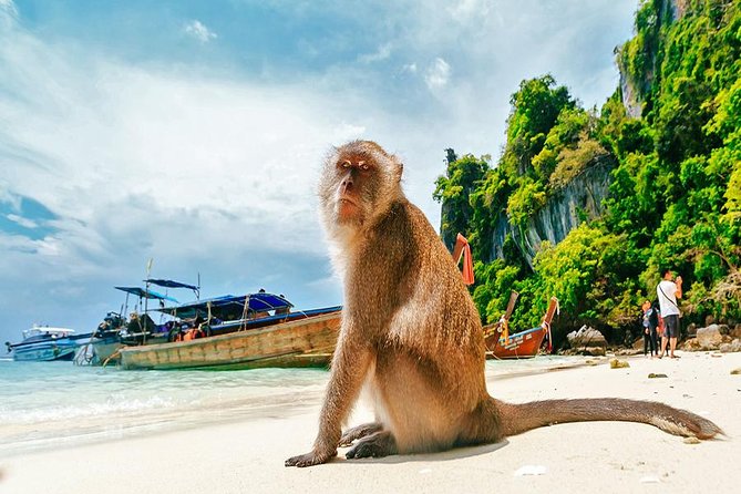 Phi Phi Island by Speed Boat From Krabi - Weather Policy
