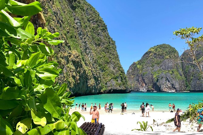Phi Phi Island Day Trip (Maya Bay-Monkey Beach-Khai Island) - Monkey Beach Encounter