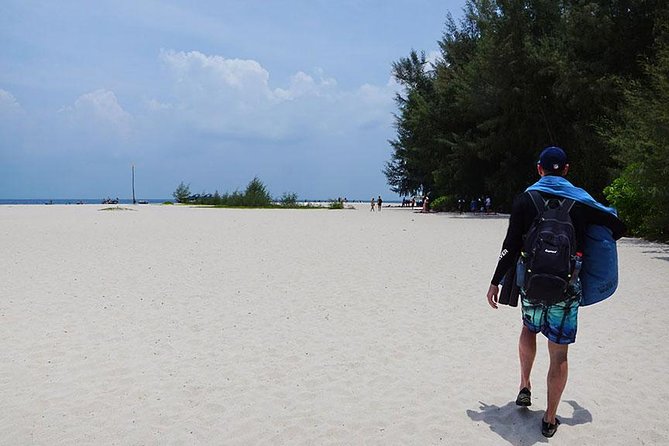 Phi Phi Island Enjoy Snorkeling & Colourful Fishes From Phuket - Snorkeling and Marine Life