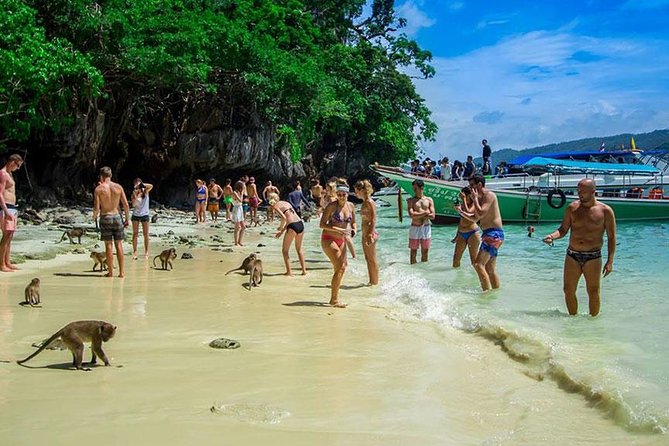 Phi Phi Island Full Day Tour From Phi Phi by Longtail Boat - Common Questions