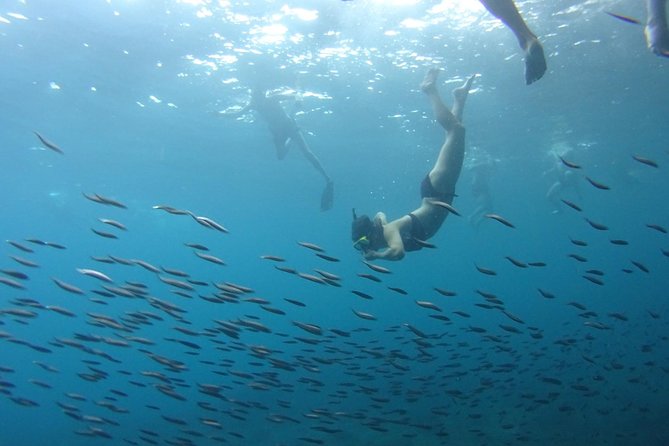 PHI PHI ISLAND - Sunrise Trip From Phi Phi Don By Phi Phi Local Tour - Directions