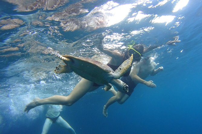 PHI PHI ISLAND - Sunrise Trip From Phi Phi Don By Phi Phi Local Tour - Common Questions