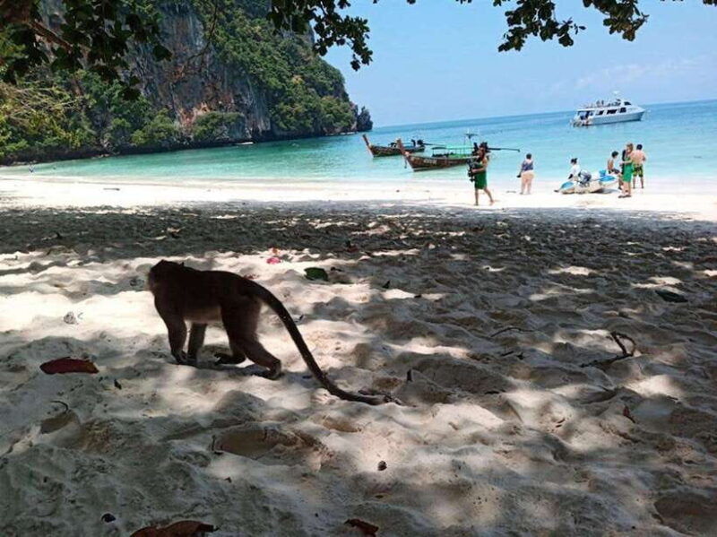 Phi Phi Islands: 2 Days, 1 Night Trip With Activities - Good To Know