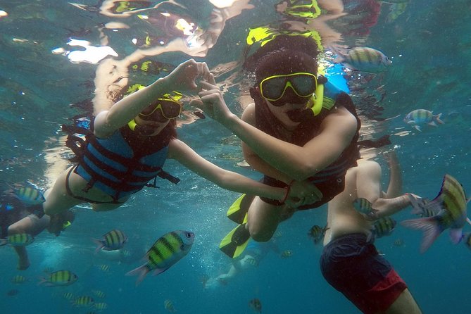 Phi Phi Islands Day Tour Bamboo and Maya Bay With Lunch by Speedboat - Traveler Photos