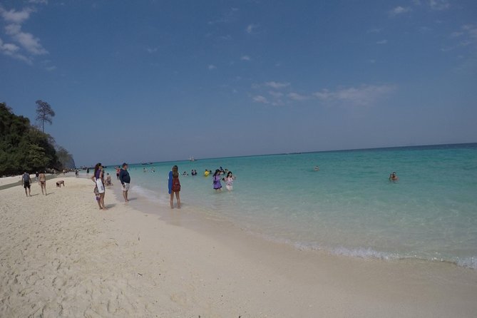 Phi Phi Islands Day Tour Bamboo and Maya Bay With Lunch by Speedboat - Reviews and Pricing