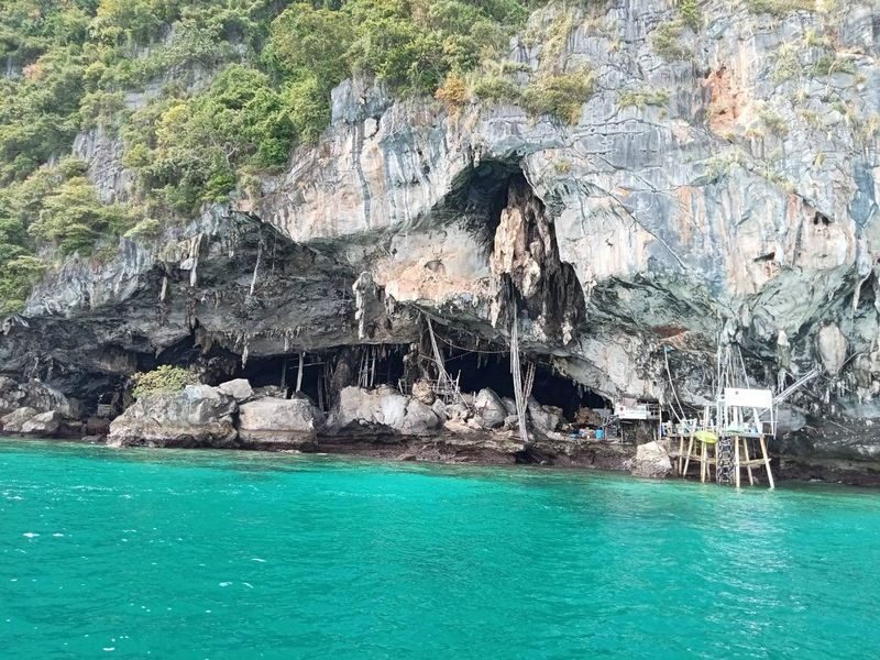 Phi Phi Islands Full-Day Snorkeling Experience - Monkey Bay, Birds Nest Cave, and Bamboo Island