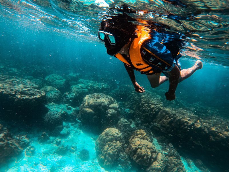 Phi Phi Islands Full-Day Snorkeling Experience - Lunch, drinks, and the value of the day