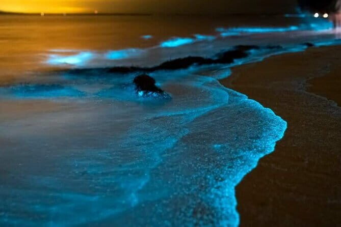 Phi Phi Islands Full Day Tour From Phuket - The Sum Up