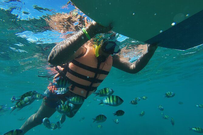 Phi Phi Islands Lagoon Adventure Snorkeling Seaview & Lunch Tour - The Itinerary in Detail