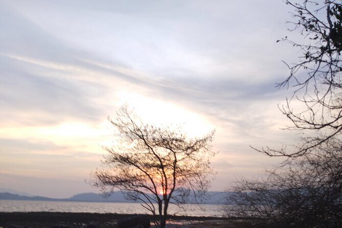 Phi Phi Islands Magic Sunset Tour Snorkeling, Beaches and Sunset - Who Should Consider This Tour?