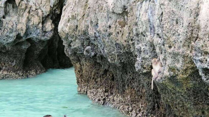 Phi Phi Islands: Private Longtail Boat 6-hour Trip - Important Considerations and Restrictions